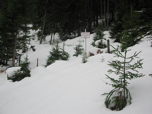 Quellschutzgebiet der Oberen Lipphuberquelle